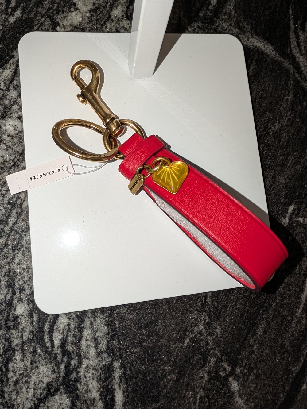 Coach Loop Bag Charm
